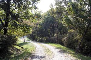 깊어진 가을, 당진 아미산에서 즐기는 산행