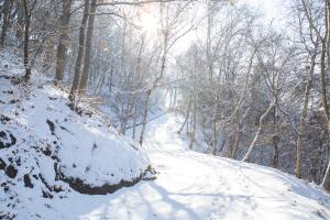 임도 조성과 관리는 당진처럼