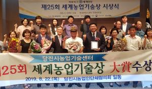 2019년 상복 터진 당진시