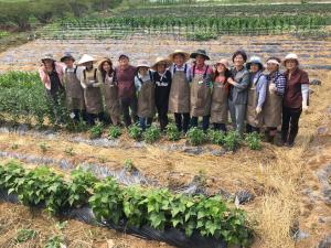 당진시, 도시농업 확대로 시민 삶의 질을 높인다