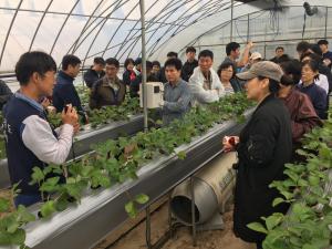 상반기 귀농·귀촌인 기초영농기술교육 수강생 모집