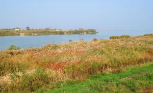 삽교호 수질4등급으로 향상, 친환경농산물 인증가능