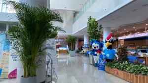 당진시청 민원실 공기정화식물로 미세먼지 OUT