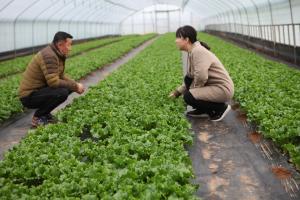 당진, 영농현장 일제출장 지도의 날 운영