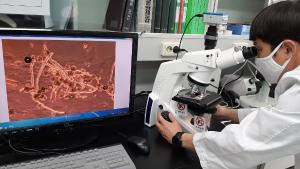 ‘꽃가루 발아율 검정’을 통한 명품 과일 생산!