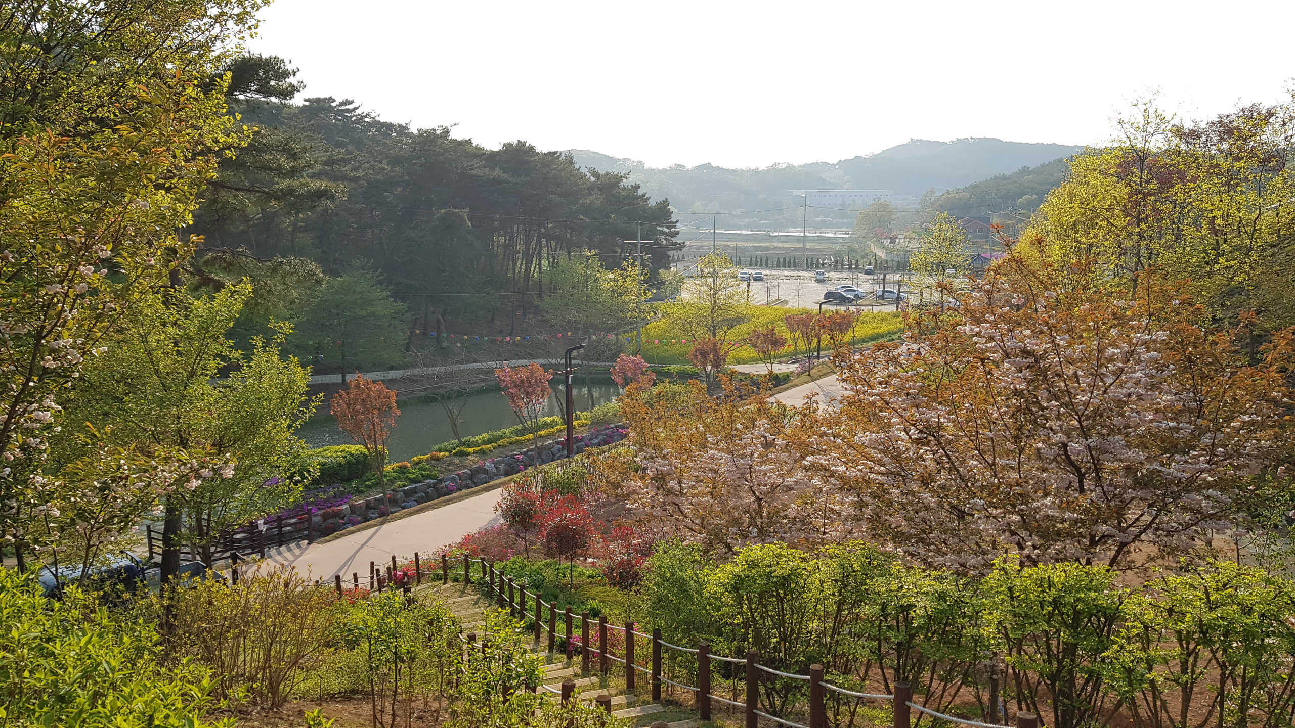 봄풍경