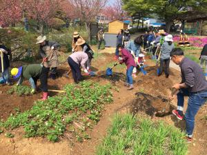 주말에는 우리 가족 모두 도시농부