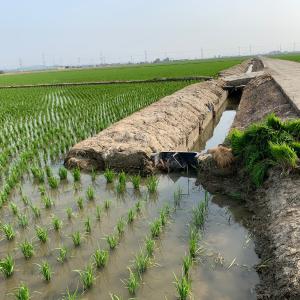 당진시, 농촌 비점오염원 저감에 총력