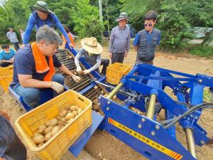 노동력 절감을 위한 고구마 수확기 시연회 개최