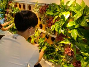 당진시, 공기정화식물 활용‘그린스쿨’조성