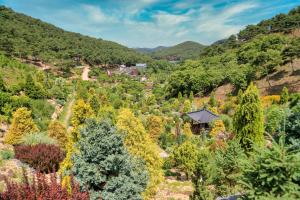 삼선산수목원, 녹음 속 휴식 선사