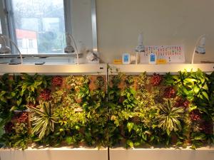 당진시, 어린이집 미세먼지 저감사업 추진