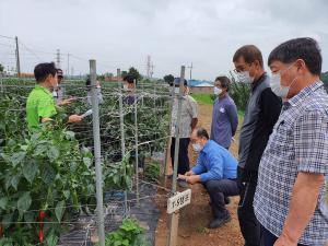 당진, 강소농 후속교육 ‘농가현장 코로스코칭’ 추진