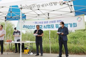 당진시, 최고의 밥맛 좋은 쌀을 찾아라