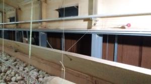 당진시, 양계사 가축사양관리로 폭염피해 예방 당부