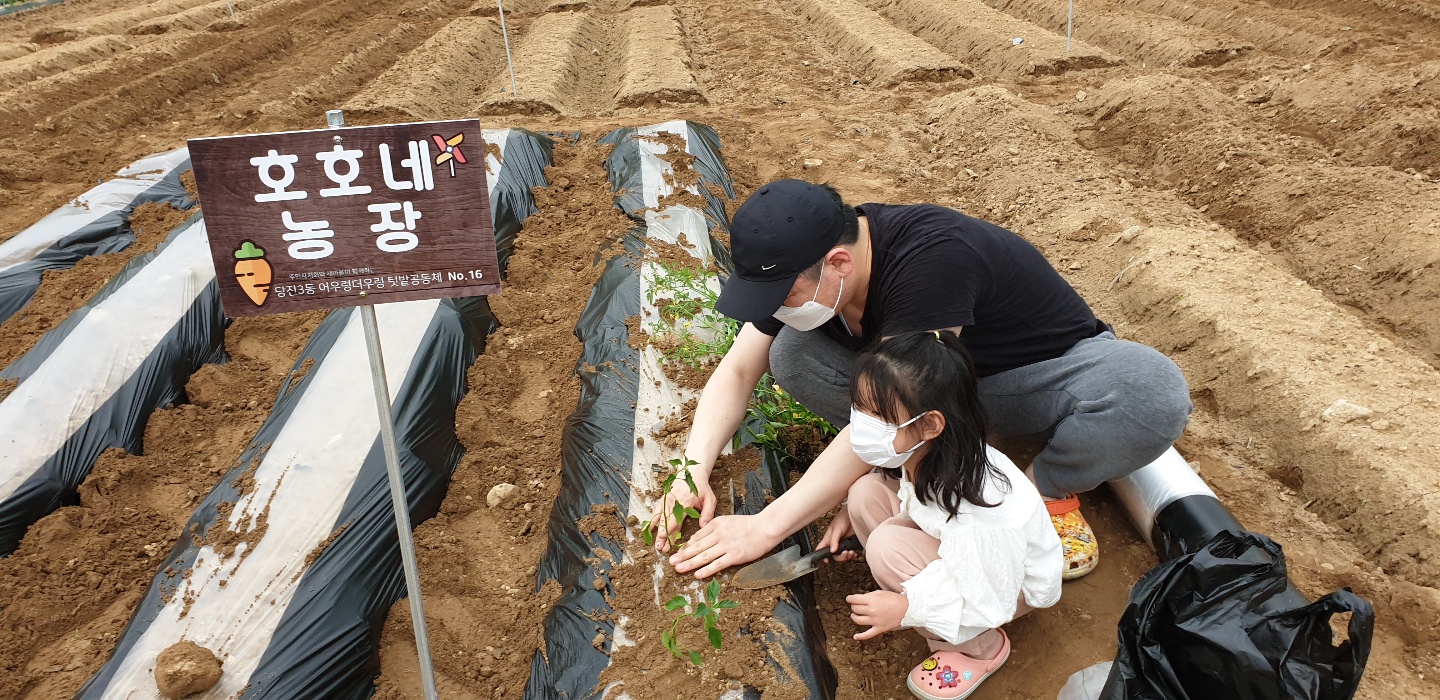 당진3동 어우렁더우렁 텃밭