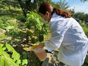 당진시 보급 유용미생물, 농작물 생산성 향상에 도움