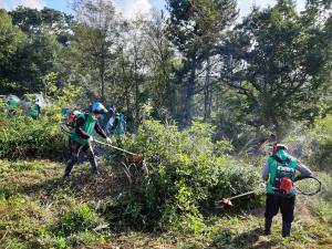 당진 고대면, “벌초 걱정 말고, 집에서 건강한 추석 보내세요”