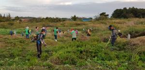 우강면 면천면, 추석맞이 공동묘지 무연분묘 벌초