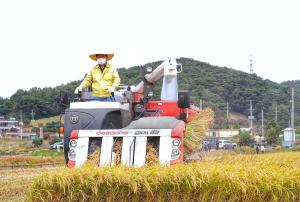 김홍장 당진시장, 벼베기 등 농업현장 행보