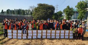 당진3동 공동텃밭 고구마 수확 및 나눔행사