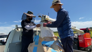 당진시, 우량 벼 종자 100t 선착순 공급