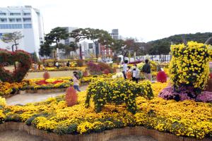 당진국화전시회 내달 8일까지 일주일 연장