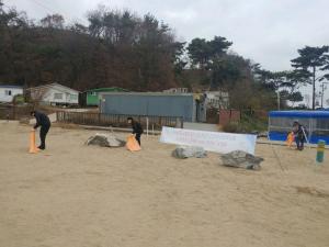 당진시, 11월 연안정화의 날을 맞아 대청결 활동 실시