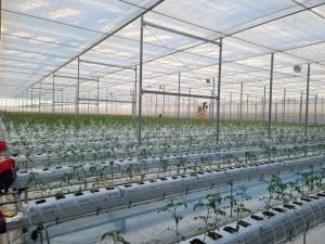 당진시, 청년 창업농 경영실습 스마트팜 영농 착수