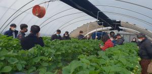 당진시, 작지만 강한 농업경영체 강소농 육성