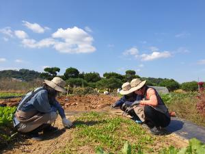 당진시, 도시농업 확산을 위한 프로그램 운영