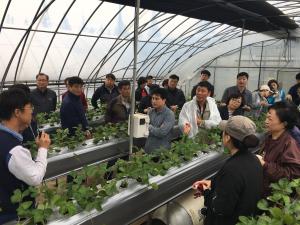 당진시, 신규농업인 ‘딸기 정예인력’ 양성