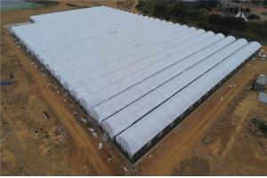 당진화력 온배수열 활용 친환경 양식장 흰다리새우 종자 입식