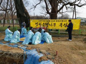 당진시 면천은행나무 목신제 열어