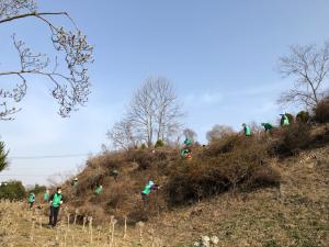 당진 새마을지도자 면천면 협의회・부녀회 새마을동산 환경정화 추진