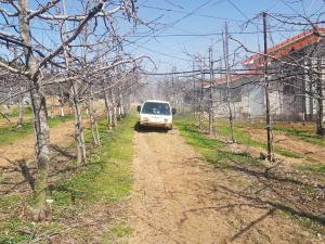 당진시‘과수화상병’예방 총력대응