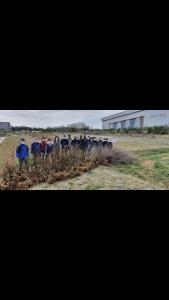 당진시, 양봉농가 대상 자체 생산 밀원수 무상보급