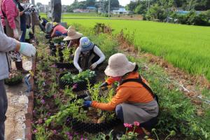 당진시자원봉사센터, 더러워진 땅에 생명을 불어 넣다