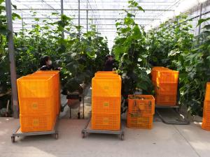 당진시, 봄철 농촌 일손 돕기 본격 지원에 나서