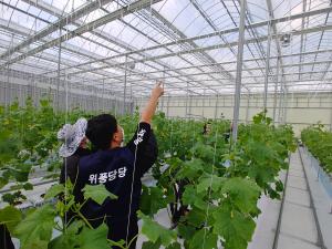 당진시, 청년창업농 스마트팜 역량강화 교육생 모집