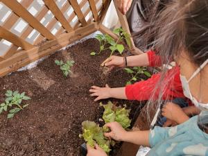 당진시, 지역아동센터에 상자텃밭 보급