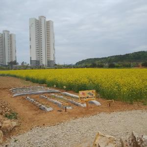 당진 석문면 통정3리, 주민이 나서‘돌담꽃밭’개장