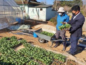 당진시, 영농현장 일제출장 지도의 날 운영