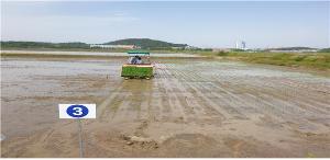 당진시, 최고품질 벼 품종 선발 보급에 앞장서