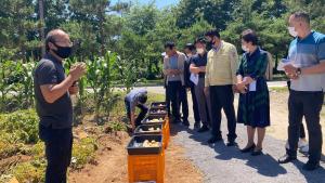 당진시, 수미 대체 품종을 찾아라!