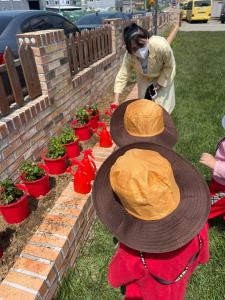 당진시어린이급식관리지원센터, 텃밭체험프로젝트 성료