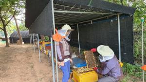 당진시, 실습 위주 교육 통한 양봉전문가 양성에 힘써