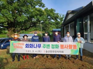 당진시 송산면, 주민이 함께하는 회화나무 정화 봉사활동