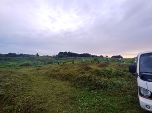 당진 우강면, 추석맞이 공동묘지 벌초 작업 펼쳐