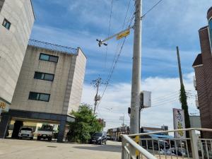 당진 신평면, 위험 사각지대 해소 위해 팔 걷어